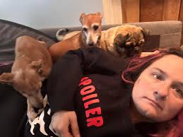 Hi all! 👋 Whitchurch based and drive 🚗 Pet sitter and walker and verified  and insured