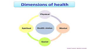 Other aspects are also involved. The 4 Dimensions Of Health Ppt Download