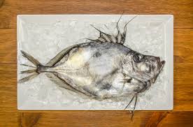 Some might argue that it's quite bland and also called the pangasius fish, cream dory is prized by consumers and suppliers alike for its. John Dory Everything You Need To Know Harbor Fish Market