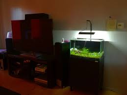 Pin On Aquarium
