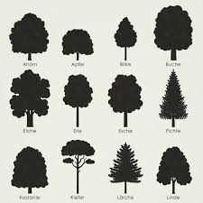 Baumformen Ein Praktischer Bogen Mit Dessen Hilfe Sich Form Und Silhouette Verschiedener Heimischer Baume Wi Illustration Design Baume Erkennen Baum Zeichnung