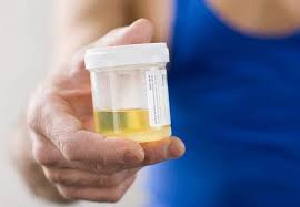 Pin On How To Pass A Drug Test