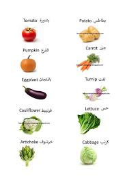 Navneet Big Wall Chart Vegetables Punctual Vegetables Chart