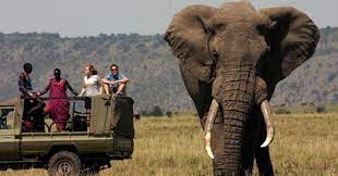 Uw safari naar kenia verder op maat maken! Kenia Reisen Und Safaris Individualreisen Und Flugsafaris Nach Kenia