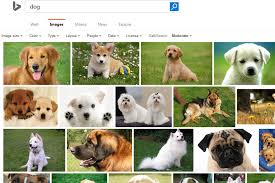What Is A Public Domain Image Libreshot Bing is an internet search engine that is powered by microsoft. what is a public domain image libreshot