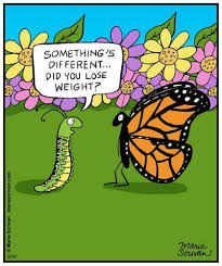 Half Full Daily Panel Maria Scrivan Butterfly Quotes Spring Jokes Jokes And Riddles