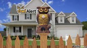 Three in oneowl alert works as a three in one device designed to repel birds and. Owl Alert Ultrasonic Pest Repeller Youtube