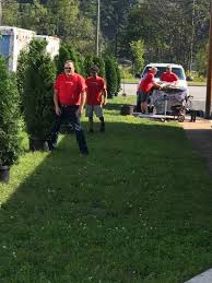 How to grow leyland cypress trees from cuttings | hunker. Lowe S Heroes Spruce Up Mountain Projects Building News Themountaineer Com