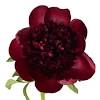 Check out our burgundy silk peony selection for the very best in unique or custom, handmade pieces from our craft supplies & tools shops. 1