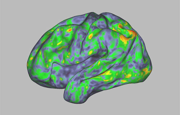 Your brain on shrooms — how psilocybin resets neural networks | Nature