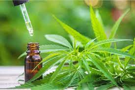 You might have already answered this but what are your thoughts on cbd? Is Cbd Oil Halal Your Questions Answered Cbd One