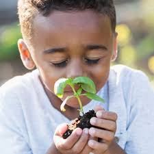 Parks and Facilities • Geneva Community Garden