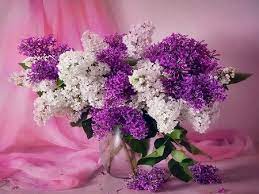 Pin By Maria Sheets On Purple Beautiful Bouquet Of Flowers Purple Flower Bouquet Beautiful Flowers