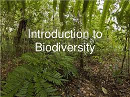 Ppt Introduction To Biodiversity Powerpoint Presentation Free Download Id 2208810