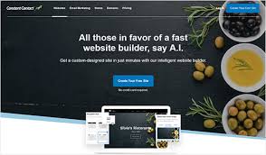 But not every business has thousands of dollars handy to pay a professional web designer. 10 Best Website Builders For Small Business Compared Pros And Cons