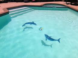 Down Swimming Dolphin Blue Water Pool Mosaics Mosaic Pool Swimming Pool Designs Dolphin Pools