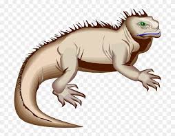 Horned Lizard Clipart Marine Iguana Hd Png Download 640x480 42978 Pngfind This is how a young iguana uses a creative way to save his rain forest home in costa rica from destruction. horned lizard clipart marine iguana hd