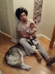 First Night Home With Baby Help Me 9gag