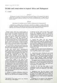 Image result for Polystachya dewanckeliana