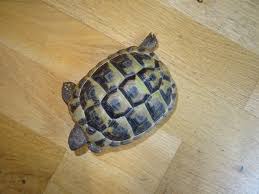 Abends stören in klimastation falkenberg, kr. Das Wetter Uber Ostern War Einfach Landkreis Rottal Inn Facebook