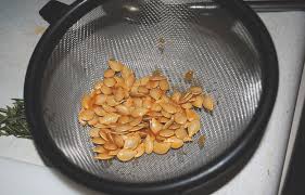 We did not find results for: Saving Seeds From Squash Homesteading Simple Self Sufficient Off The Grid Homesteading Com