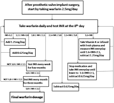 The Flow Chart For Determing The Warfarin Dosage According