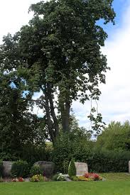 Niklausenstrasse 105, 6047 kastanienbaum tel. Geislingen Kastanienbaum Erhitzt Die Gemuter Balingen Umgebung Schwarzwalder Bote