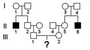 Solved In The Pedigree Below The Shaded Squares Represen
