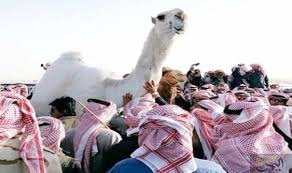 تحنيط أجمل ناقة في السعودية بعد أشهر على نفوقها Animals Llama