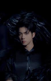 Maybe you would like to learn more about one of these? Namjoon Rm Seokjin Jin Yoongi Suga Hoseok Jhope Hobi Jimin Taehyung V Jungkook Icon Bts Aesthetic Dark Wallpaper Bts Jin Kim Seokjin Seokjin