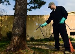 Pest control companies have services to deal with a range of unwanted critters. How To Choose A Good Pest Control Company Questions To Ask Away Some Article Blog