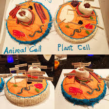 Maybe you would like to learn more about one of these? Plant Cell And Animal Cell Model Cake Candy Cells Project Homeschool Projects Cell Model