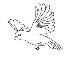 Download this adorable dog printable to delight your child. Amazing Bird Flying Floating Coloring Page Color Luna