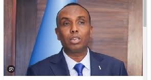Somalia recalls ambassador in Ethiopia over sea access deal
