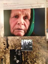 UN Program Director News and Updates 2016