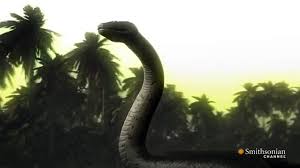 Want to discover art related to titanoboa? Titanoboa Monster Snake Titanoboa Vs T Rex Video Dailymotion