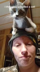 This isn't a cat! This is a bird! #catsoftiktok #catmomlife #catlover