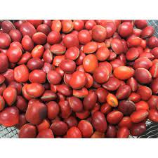 菩提子 木魚果 豆科 油麻藤屬mucuna 又稱黧豆屬 本屬中產於東南亞的部分褶翅亞屬subg mucuna 類群 因種臍長度超過種子周長一半 酷似木魚 vegetables tomato