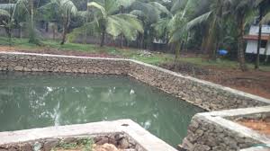 Aquaculture Ponds Aquaculture Fish Aquaculture Fish Farming