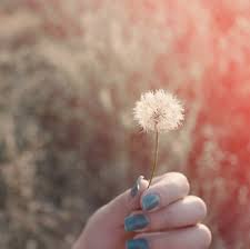 See, that's what the app is perfect for. Wallpaper Bunga Dandelion Tumblr Wallpapershit