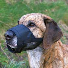 Or haleter est vital pour votre animal. Museliere Pour Chien Permettant De Boire Animabassin