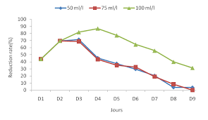 Image result for Diplolophium africanum