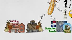 Categories:pest control, pest control services. Home Exterminate Pro