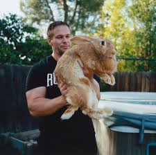 Generally speaking, the bearded dragon is a solitary animal. The Internet S Exotic Pets And The People Who Love Them The New York Times