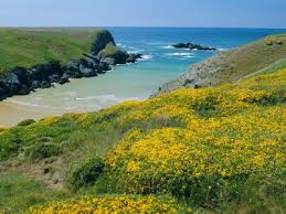 Cote De Port Kerledan Belle Ile En Mer Breton Islands Morbihan Brittany France Photographic Print J P De Manne Art Com Island France Scenery