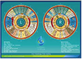 iridology supplies brio holistics llc