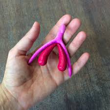 That's a whole lotta room for variety! The Still Misunderstood Shape Of The Clitoris The Atlantic
