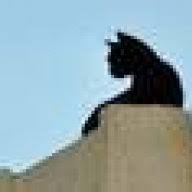 Mein wirkungsvollster trick ist, dass ich abends immer mit wasser gefüllte durchsichtige plastikflaschen aufstelle (die augen reflektieren sich im wasser und davor haben katzen angst).…. Katze Von Neuem Sofa Fernhalten