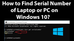 I decided to try iweb but it wants me to register the sw. How To Find Serial Number Of Laptop Or Pc On Windows 10 Youtube