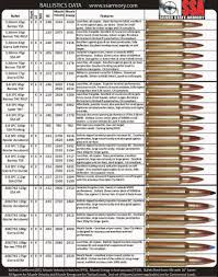 22 symbolic rifle calibers by size chart